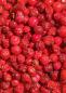 Preview: Gefriergetrocknete rote Johannisbeeren 500 g