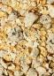 Preview: Gekeimtes Bio Porridge Früchte 1 kg