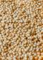 Preview: Gepuffter Bio Amaranth 700 g