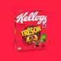 Preview: Kellogg's Tresor Choco Nut - 410g