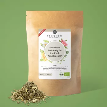 BIO Honig im Kopf 100g