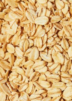 Preview: Bio Haferflocken Großblatt 2,5 kg