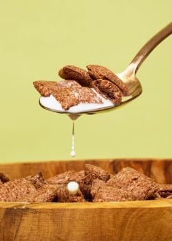 Preview: Bio Nougat Bits mit 8,5 % Haselnuss 500 g