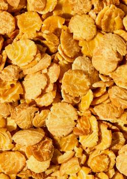 Preview: Bio Sojaflocken 2 kg