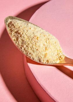 Preview: Gefriergetrocknetes Mangopulver 250 g