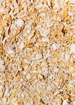 Preview: Gekeimte Bio Feinblatt Haferflocken 1 kg