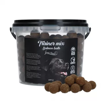 Luna's Choice Trainer Mix Lachsbällchen (glutenfrei)