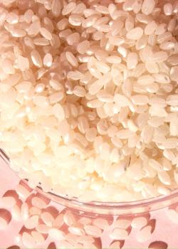 Preview: Bio Sushi Reis 5 kg