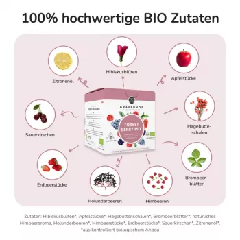 Preview: Forest Berry Mix Tee, 15 Pyramidenbeutel