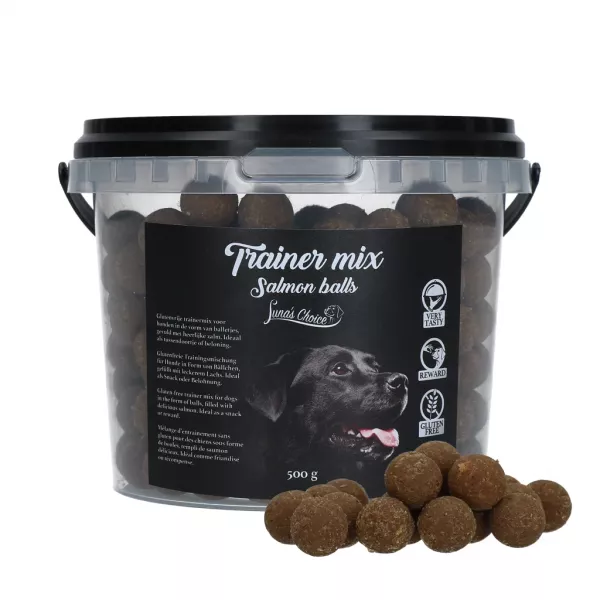 Luna's Choice Trainer Mix Lachsbällchen (glutenfrei)