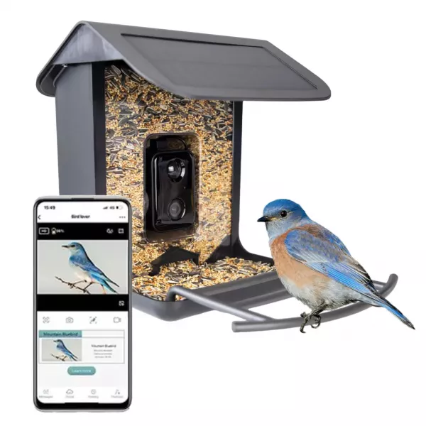 AI Bird Feeder mit Kamera