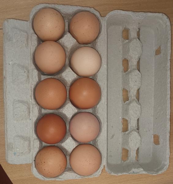 Eier Größe S  10 Stück